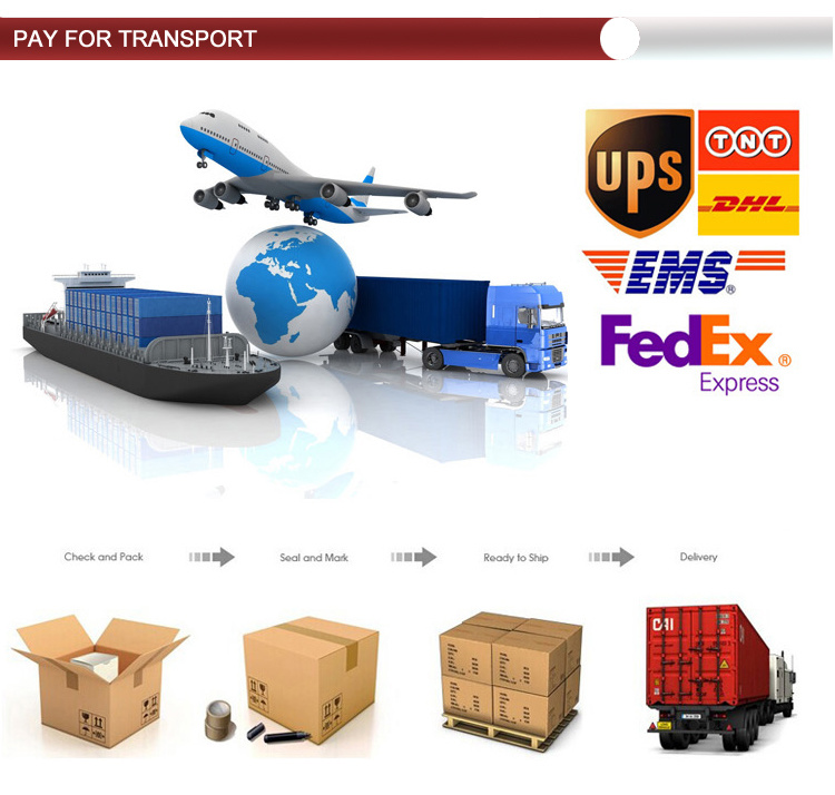 Tenedorizador el&eacute;ctrico de carne el&eacute;ctrica de acero inoxidable GRT-MT-12